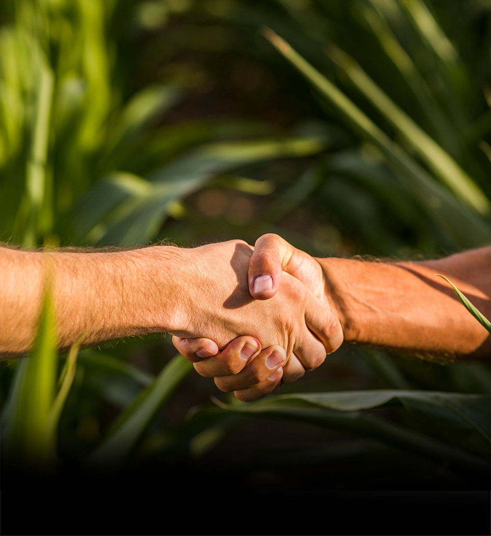 Agile & Transparent Partnerships