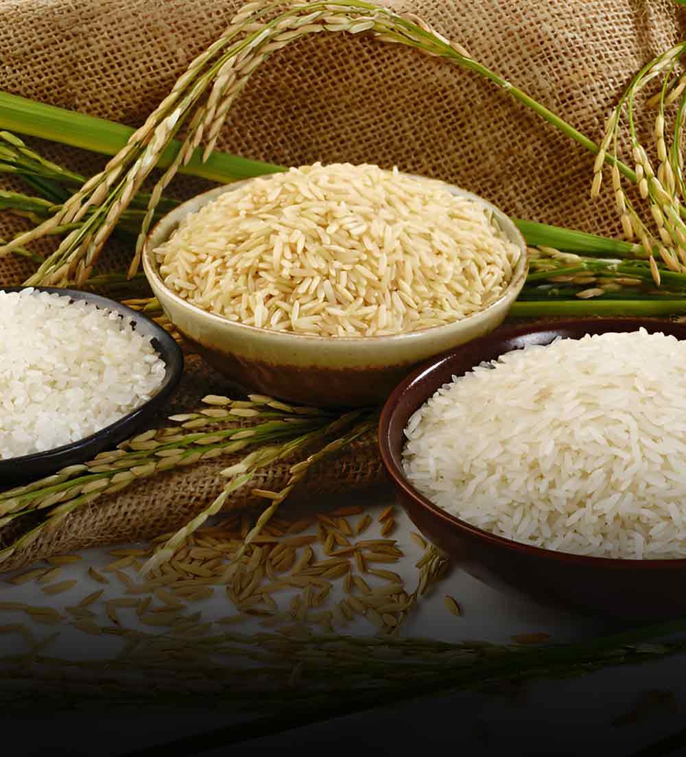  Paddy Process