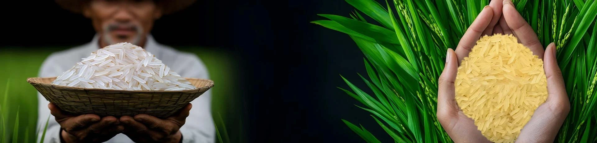 Global Export Banner