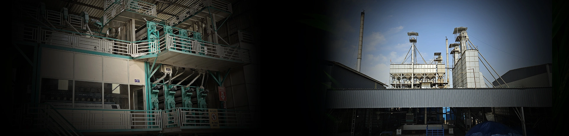 Global Export Banner