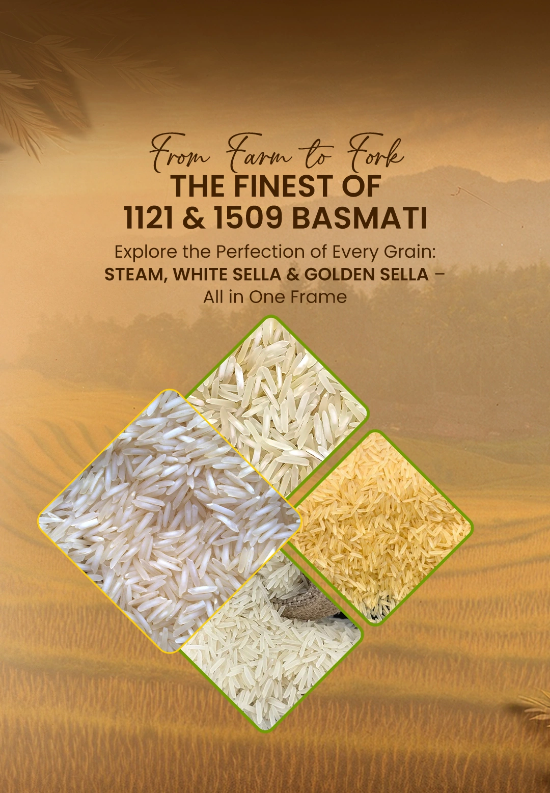 the finest of 1121 & 1509 basmati