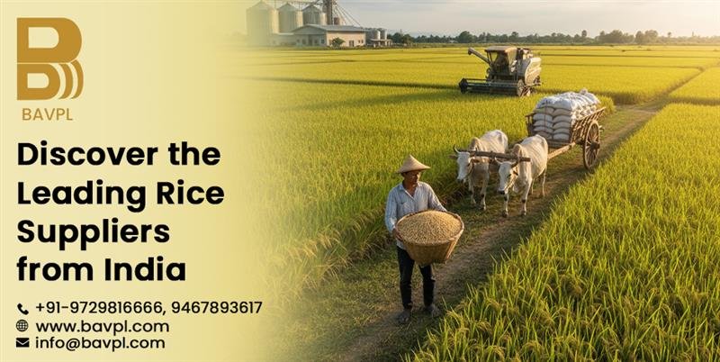 Rice Suppliers from India